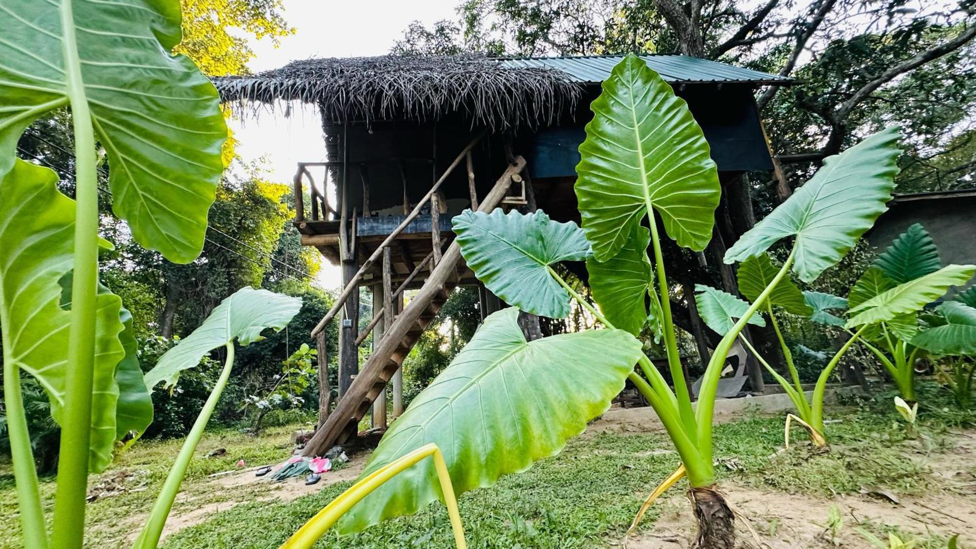 Sigiri Veenus Paradise Sigirîya Extérieur photo