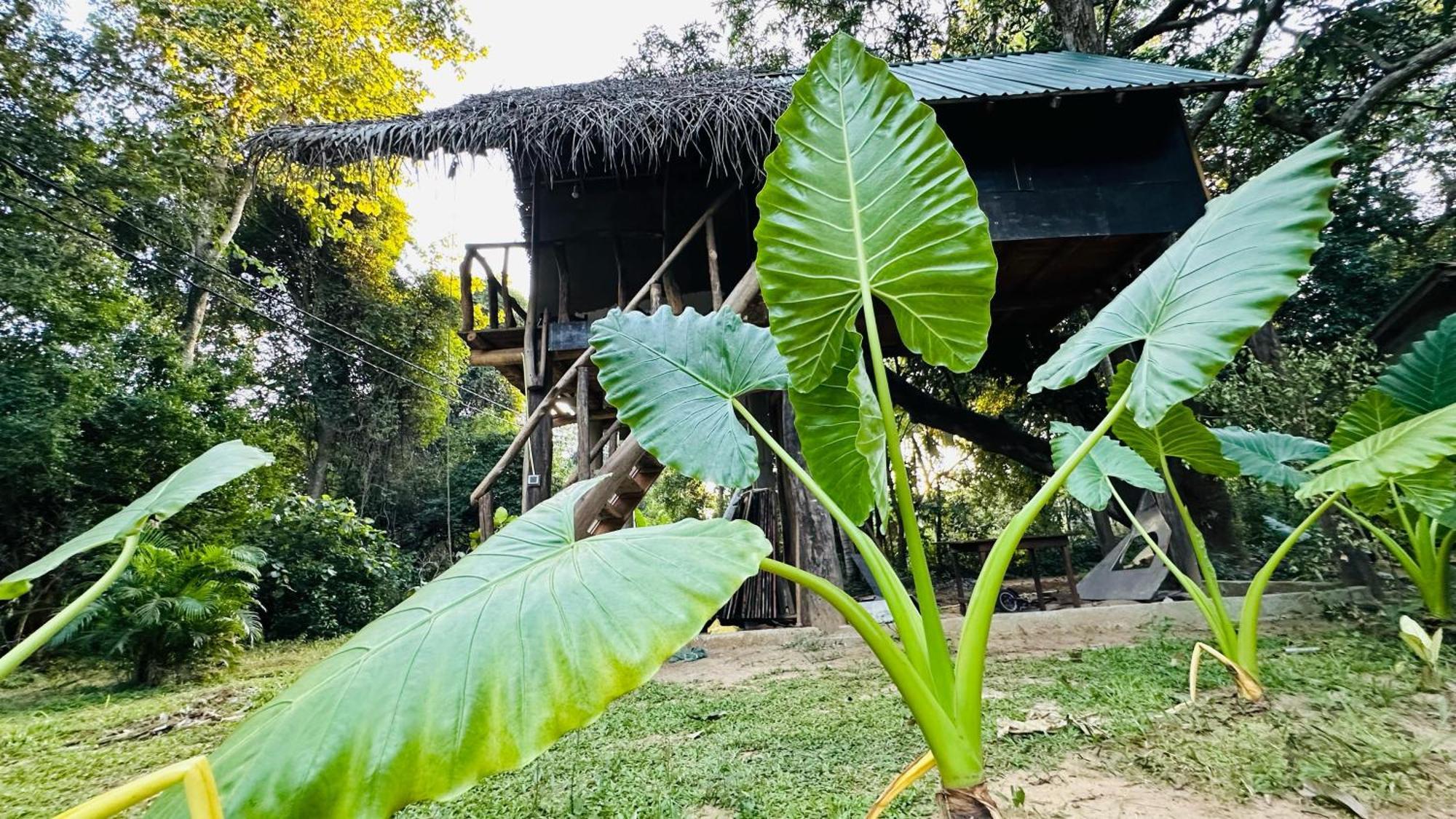 Sigiri Veenus Paradise Sigirîya Extérieur photo